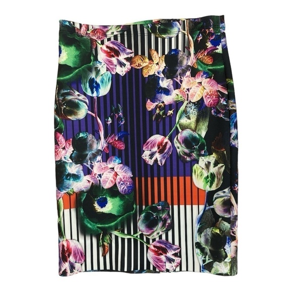 Clover Canyon Night Matador Stripe, Floral Pencil Skirt - Picture 3 of 10